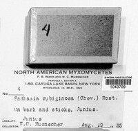 Image Associated With the Occurence